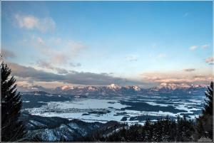Sorško polje